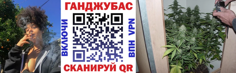 Конопля план  закладка  Унеча 